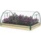 Raised Garden Bed Planter Box Combo with Greenhouse for Vegetables & Herbs